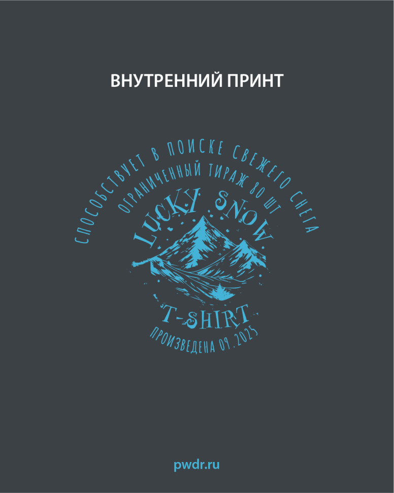 Футболка Snow gamblers